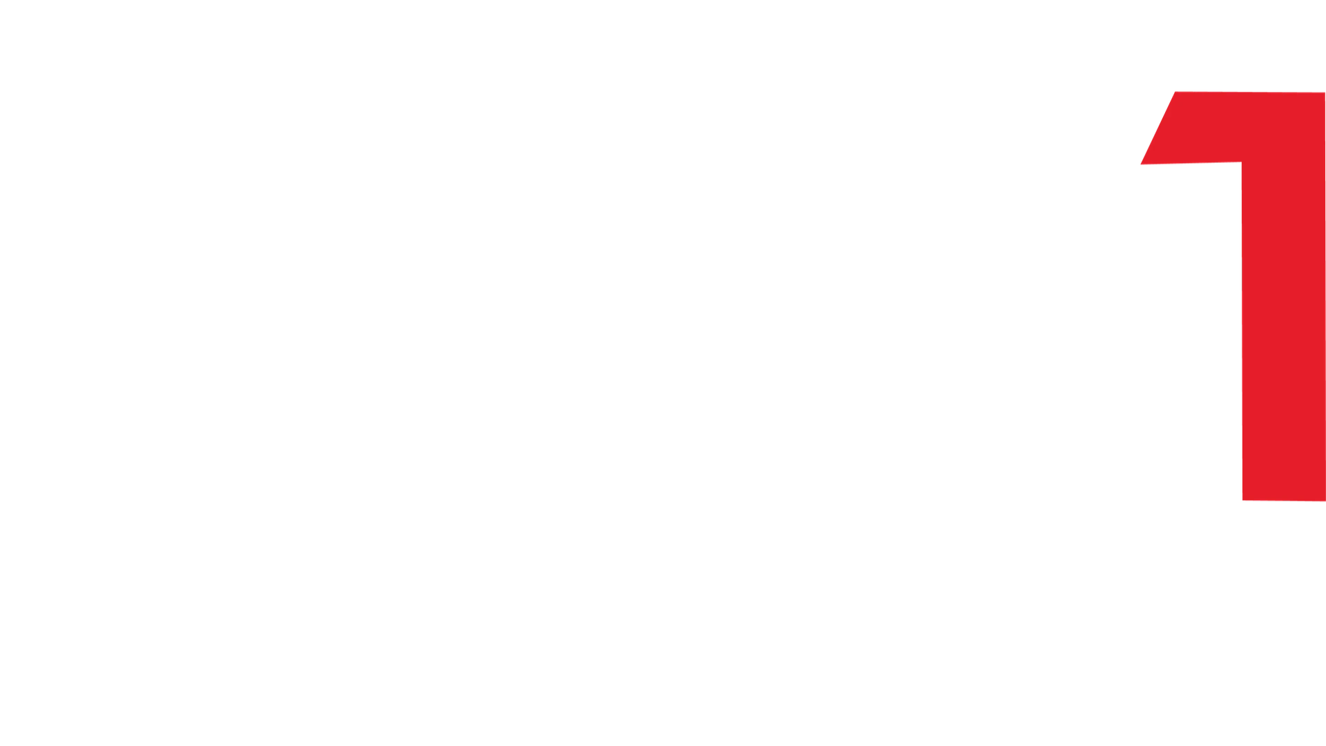 SYLT1 DSF Logo weiss