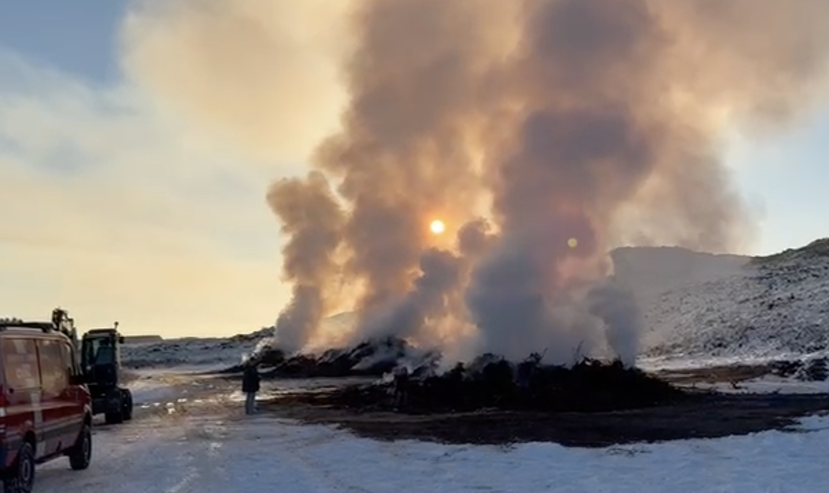 Großbrand in Kampen? Keine Sorge, es ist nur die stachelige Rose!