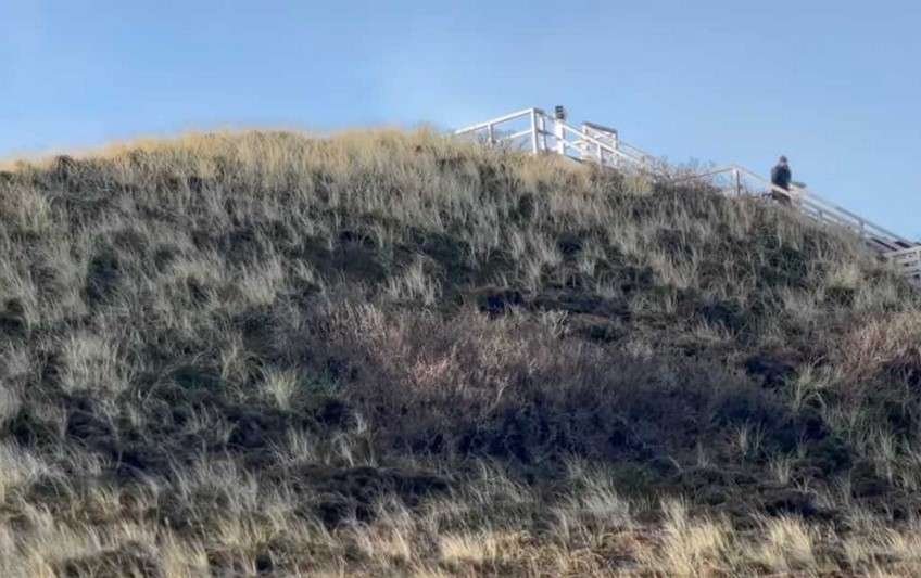 Sylts Natur: Wo die Dünen wandern und die Wale Urlaub machen